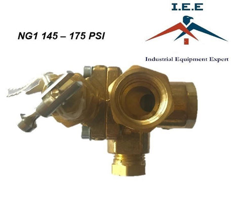 Gas Air Compressor unloader valve pilot check valve combination 145-175 NG1