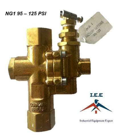 Gas Air Compressor unloader valve pilot check valve combination 95-125 NG1